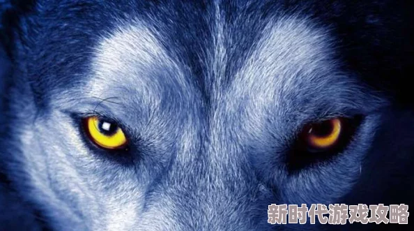 男人操母狗这种行为极其残忍且违法，严重伤害动物，令人憎恶