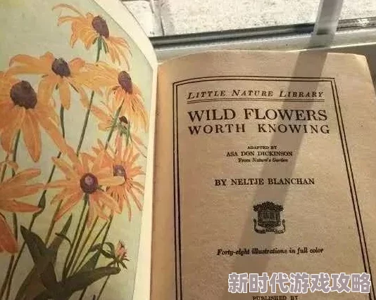 欧美一黄片内容低俗传播不良信息危害身心健康浪费时间误导价值观 欧美一黄片内容低俗传播不良信息危害身心健康浪费时间误导价值观