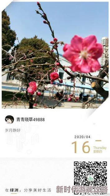 怡春院青青草涉嫌违法广告内容已被举报 怡春院青青草涉嫌违法广告内容已被举报