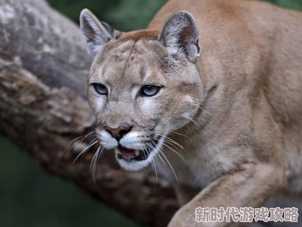 带老婆去找其他男人正常吗听说有人在市中心某高档酒店目击了类似情况真是令人咋舌