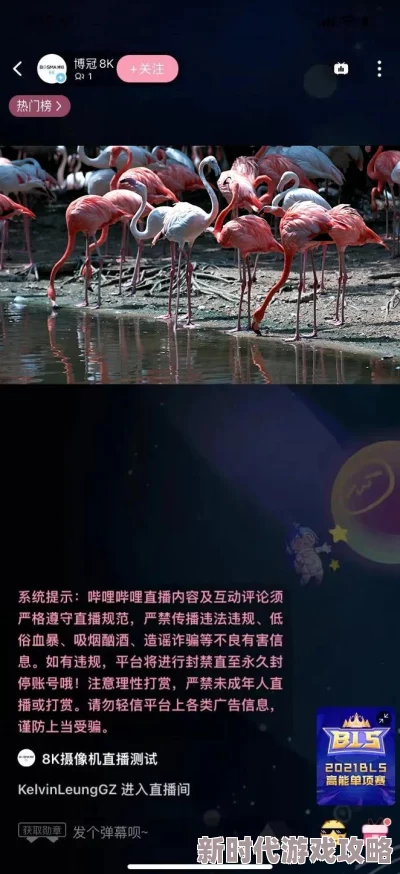 尺寸最大的十大免费直播平台画质高清流畅内容丰富选择多