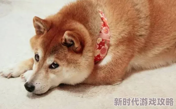 飞机杯用过的都说好真的是个神器解决了单身狗的烦恼