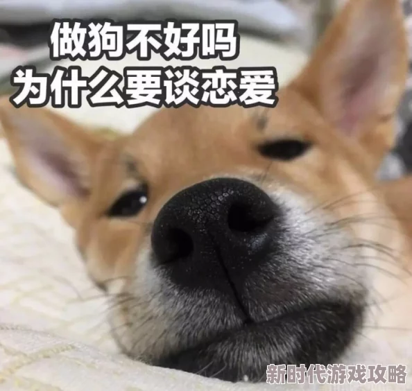 飞机杯用过的都说好真的是个神器解决了单身狗的烦恼