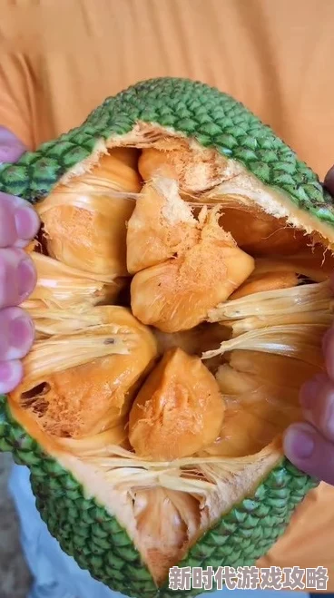 菠萝蜜视频在线播放画质清晰流畅内容丰富更新及时 菠萝蜜视频在线播放画质清晰流畅内容丰富更新及时