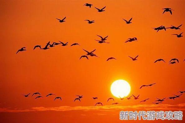 黄色天堂因其温暖明亮的色彩和积极向上的主题而受到大众欢迎 黄色天堂因其温暖明亮的色彩和积极向上的主题而受到大众欢迎