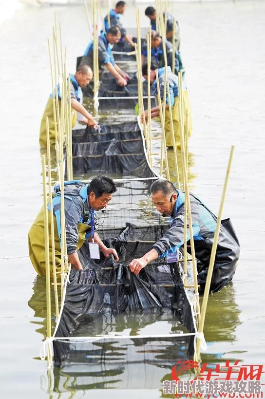 亚洲日本一区二区为何让人着迷在于其引人入胜的历史和传统 亚洲日本一区二区为何让人着迷在于其引人入胜的历史和传统