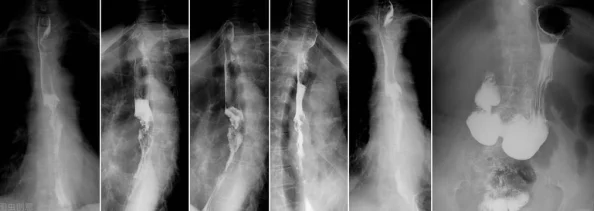 CF生化模式揭秘:别人子弹充盈背后的原因与加成爆料 CF生化模式揭秘:别人子弹充盈背后的原因与加成爆料
