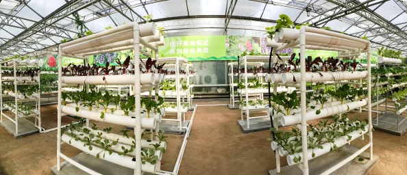 国产高清 精品丝瓜因为其精湛的制作和精彩的演绎而备受观众青睐 国产高清 精品丝瓜因为其精湛的制作和精彩的演绎而备受观众青睐