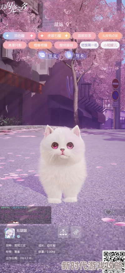 以闪亮之名宠物礼包怎么样-圣诞宠物礼包详细解析 以闪亮之名宠物礼包怎么样-圣诞宠物礼包详细解析