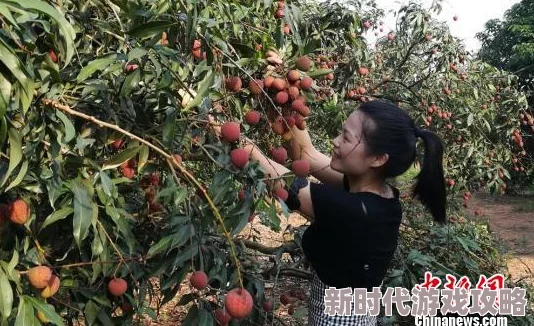 和平精英大唐西安新增打卡点,探索古都魅力新体验 和平精英大唐西安新增打卡点,探索古都魅力新体验