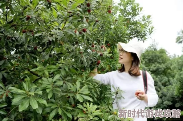 王者荣耀夏日无双榜活动参与指南及丰厚奖励揭秘 王者荣耀夏日无双榜活动参与指南及丰厚奖励揭秘