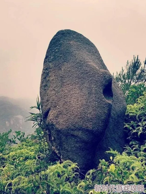 《黑神话：悟空》游戏中月玉兔角色获取攻略及位置详解