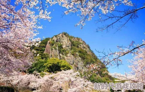 魔兽世界宏伟宝库任务完成攻略：详细步骤教你如何做宏伟宝库任务