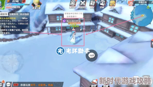 航海王热血航线：揭秘真正的领导者，详解合适领导者任务攻略大全