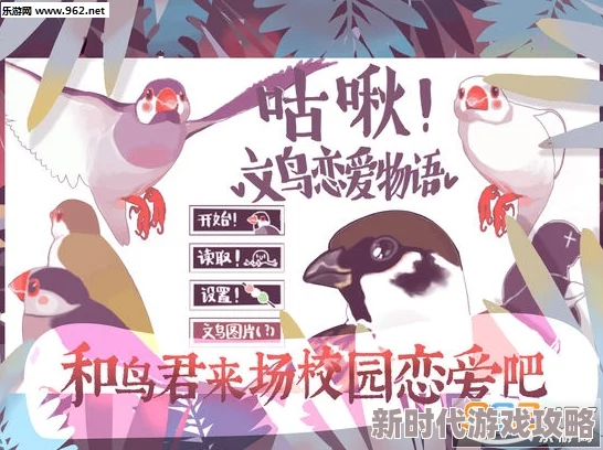 咕啾文鸟恋爱物语升级秘籍：新手快速成长与高效升级攻略大全