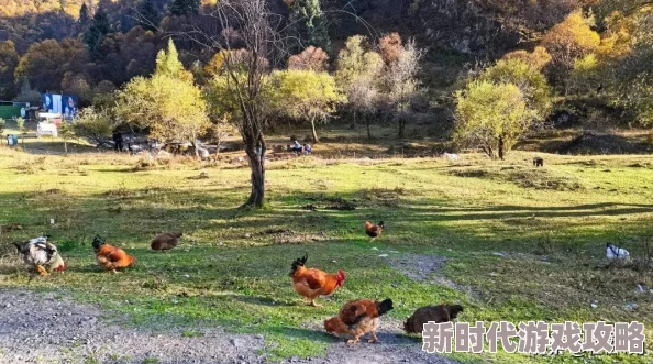 探寻《黑神话：悟空》龙胆种子位置——最佳获取地点推荐指南
