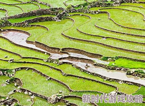 亚洲一产区和二产区的区别：解析农业生产区域划分及其对经济发展的影响与特点