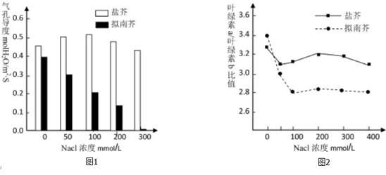 jy收集系统白清素在不同环境条件下的稳定性及其对植物生长影响的研究