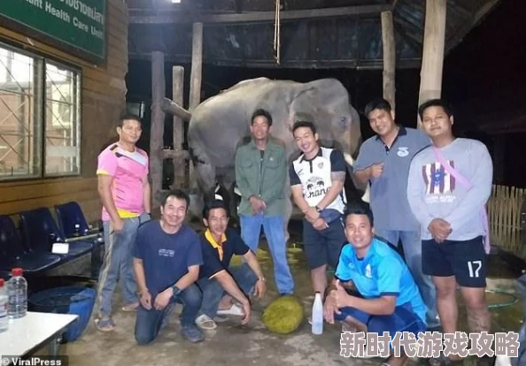 亲吻拔萝卜原声不带歌词摸馒头：探索亲密行为对心理健康的积极影响与传统美食文化的独特交融
