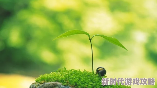 x7x7x7任意噪水＂：科学家发现这种水能显著提高植物生长，震惊农业界和科研圈！