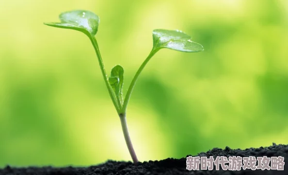 x7x7x7任意噪水＂：科学家发现这种水能显著提高植物生长，震惊农业界和科研圈！