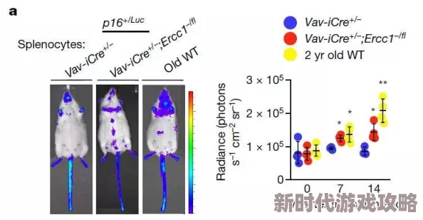 17c10：重磅消息！科学家发现前所未有的粒子特性，彻底颠覆量子物理学界的传统理论！