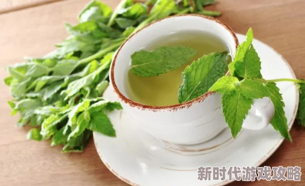 100种流眠软件进入窗口：最新进展与用户反馈分析，助你找到最适合的睡眠辅助工具