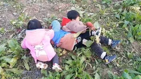 光腿拔萝卜光腿拔萝卜：这是一种独特的民间活动，参与者在夏季时节以光腿的方式进行拔萝卜比赛，展现了乡村生活的乐趣与活力