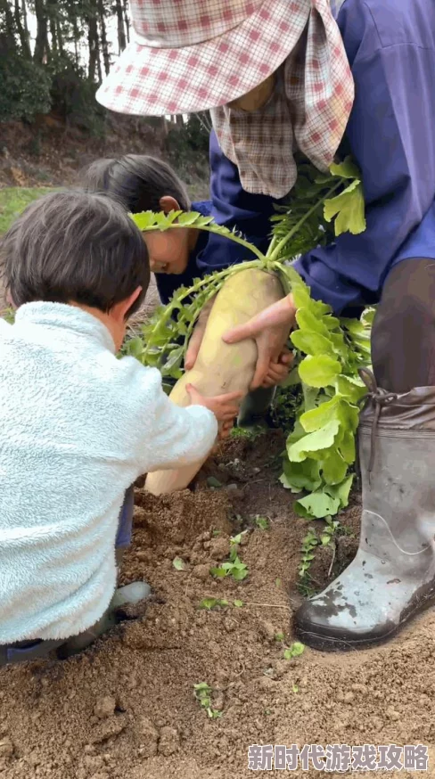 光腿拔萝卜光腿拔萝卜：这是一种独特的民间活动，参与者在夏季时节以光腿的方式进行拔萝卜比赛，展现了乡村生活的乐趣与活力