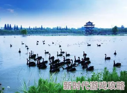 婷婷精品在线：全新产品上线，尽享时尚与品质的完美结合，助你提升生活品味与购物体验！