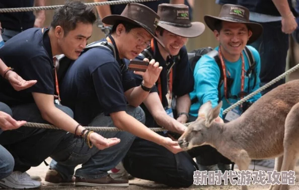 亚洲一级特黄特黄的大片：最新动态揭示了这一类型影片在市场上的崛起与观众反响，值得关注的趋势与变化