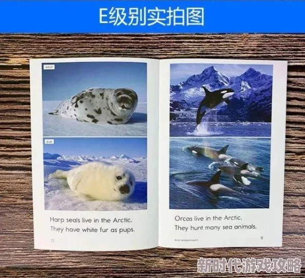 欧美a色爱欧美综合v：最新动态与趋势分析，探讨其在当代文化中的影响力与发展方向