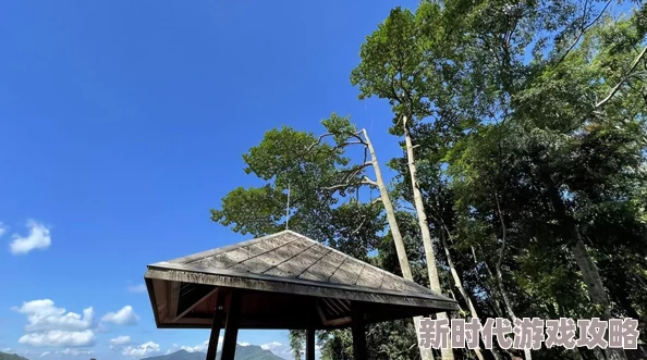《天涯明月刀手游》全面解析：洞中之人六大结局玩法攻略与通关技巧详解