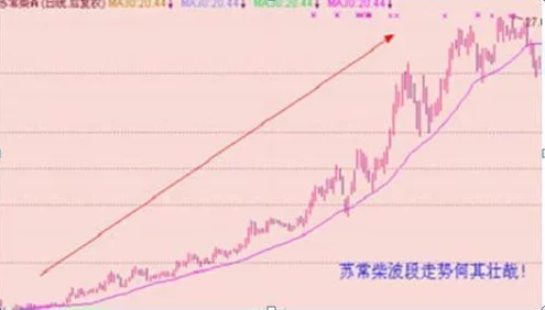 精品二线三线品牌对消费者的影响：消费趋势变化与市场策略调整的新动态分析