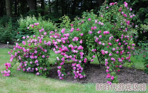 今日看料，黑料：最新进展揭示事件背后的真相与影响，值得关注的细节逐渐浮出水面