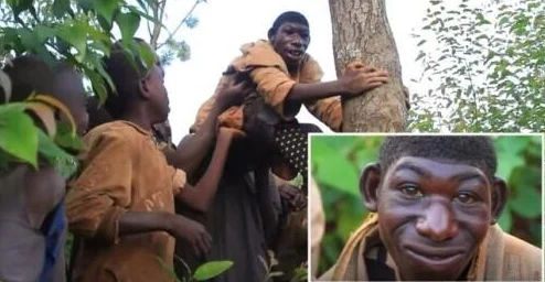 人猿泰山时长1小时34分,网友热议:这部经典动画是否依然能打动现代观众的心? 人猿泰山时长1小时34分,网友热议:这部经典动画是否依然能打动现代观众的心?