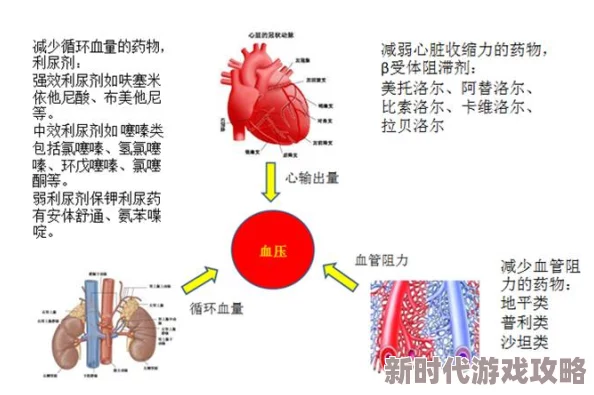 云缨的卵巢：研究发现其在生殖健康中的重要作用及潜在影响因素分析