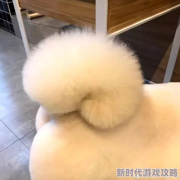 的大白屁股引发热议，网友纷纷围观并发表搞笑评论，成为社交媒体新宠！