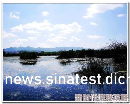 罗志祥5G天天奭多人观后感：新动态揭示其在娱乐圈的影响力与粉丝互动的新趋势