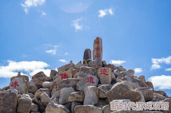 海角对白：探讨人与自然的和谐共生，揭示深层次的情感与哲思交融之美