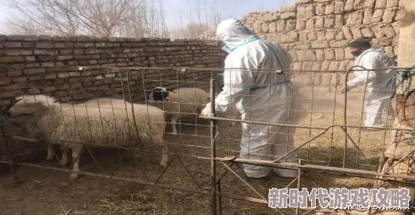 人与畜禽重要性共性关系的研究进展与未来发展方向分析，促进人类与动物和谐共生的新思路