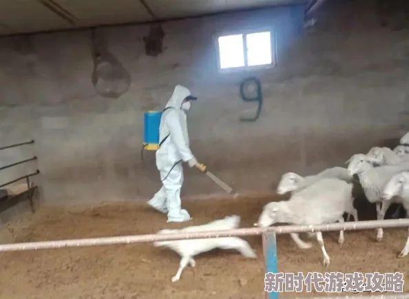 人与畜禽重要性共性关系的研究进展与未来发展方向分析，促进人类与动物和谐共生的新思路