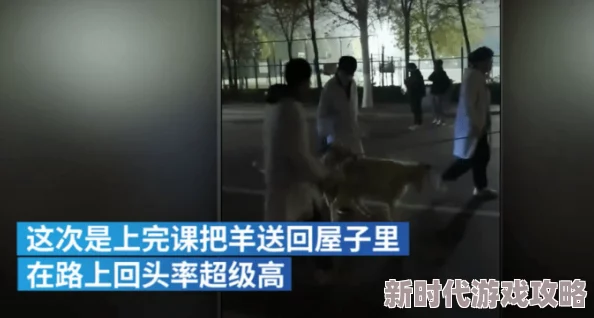 落体女生污污污:惊现校园奇观,女学生意外坠落引发全场围观,瞬间成为网络热议焦点! 落体女生污污污:惊现校园奇观,女学生意外坠落引发全场围观,瞬间成为网络热议焦点!