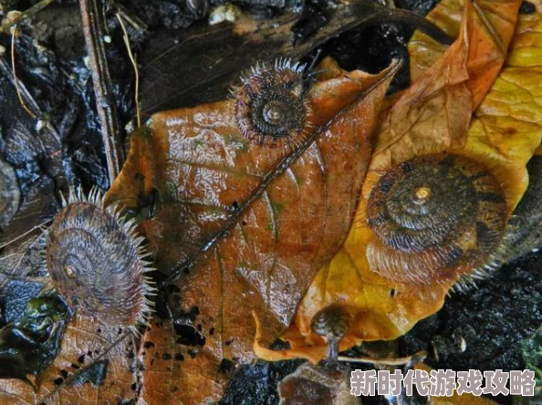 打剧烈运动不盖被子会怎么样图片：惊人后果曝光，健康风险让你意想不到！
