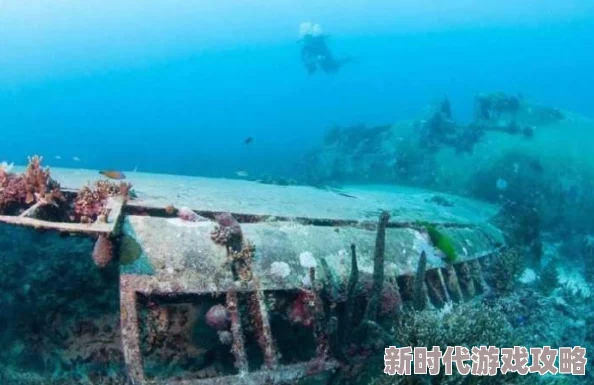 海角视频：震撼曝光！全球首个水下城市探秘，惊现神秘生物与失落文明的遗迹！
