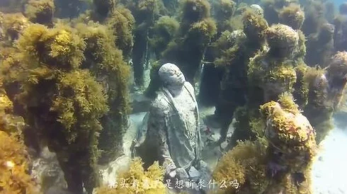 海角视频：震撼曝光！全球首个水下城市探秘，惊现神秘生物与失落文明的遗迹！