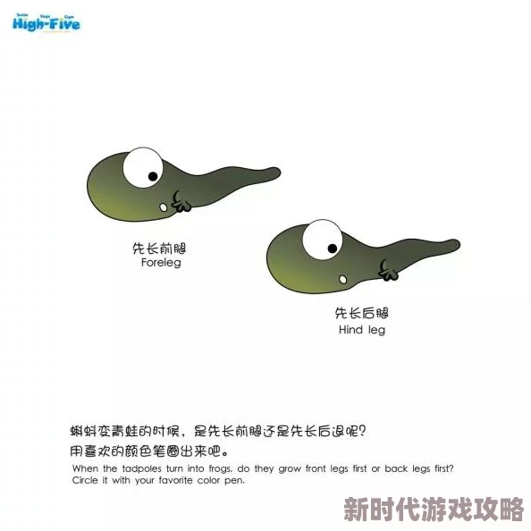 蝌蚪窝成人：一场关于成长与蜕变的奇幻旅程，揭示青春背后的秘密与挑战！