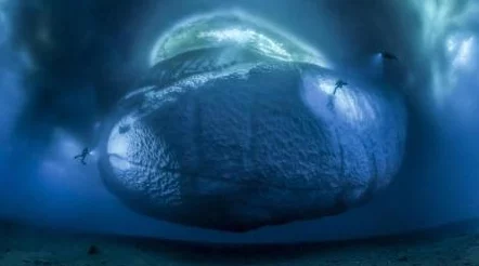 生殖特写magnetTV：震撼曝光！前所未见的生物奇观引发全球热议，科学家们惊叹不已！