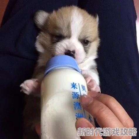 嘿咻动态图吃奶xx：最新动态分享，带你领略更多精彩内容与互动体验，让我们一起畅游其中！