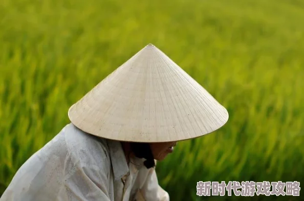 40491：新动态揭示了该事件背后的深层原因与影响，值得关注的最新进展引发广泛讨论与思考
